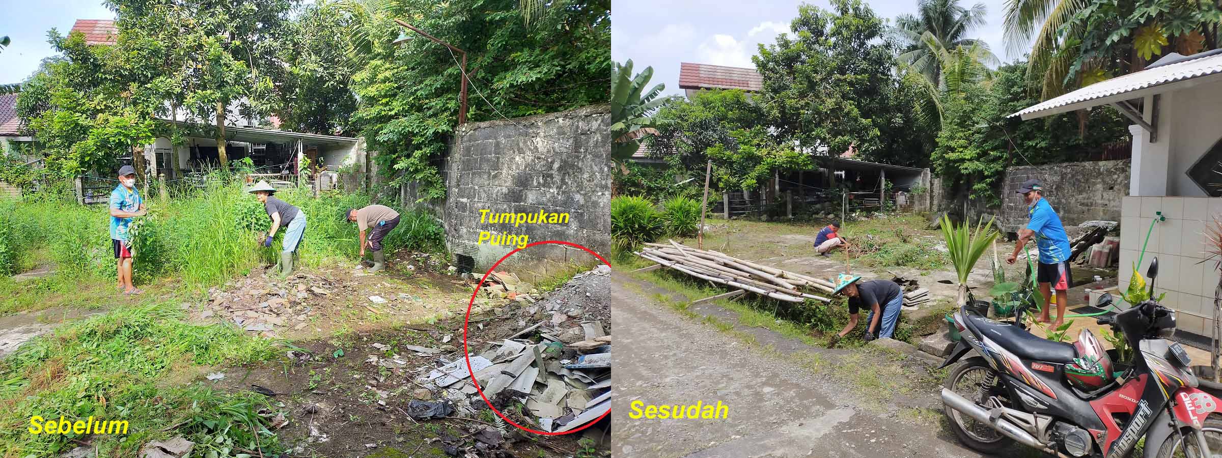 KERJA BAKTI SEKITAR MUSHOLLA KERJA BAKTI SEKITAR MUSHOLLA